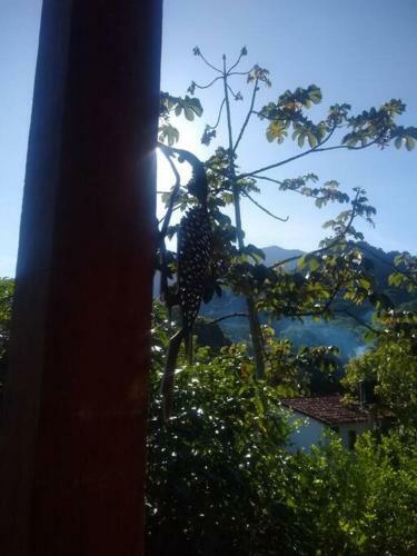 Apartamento Bosque Azul - Carpintero