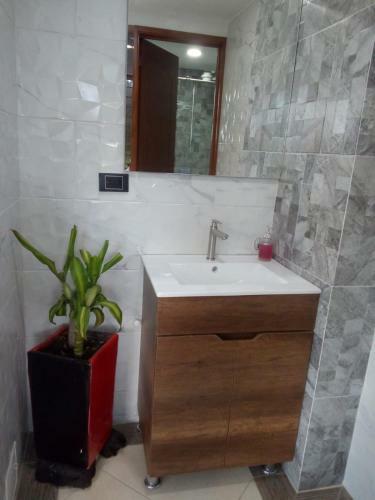 Hotel Caba�as Santo Tomas