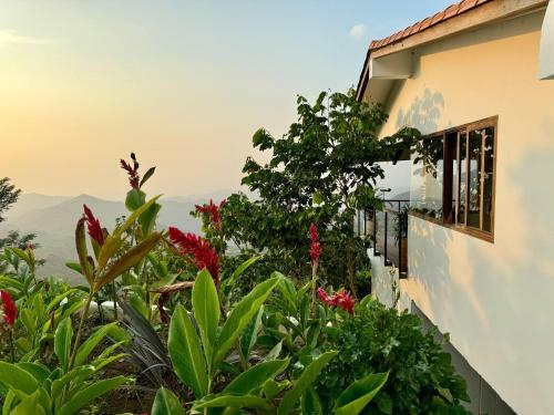 Villa Canopy Minca