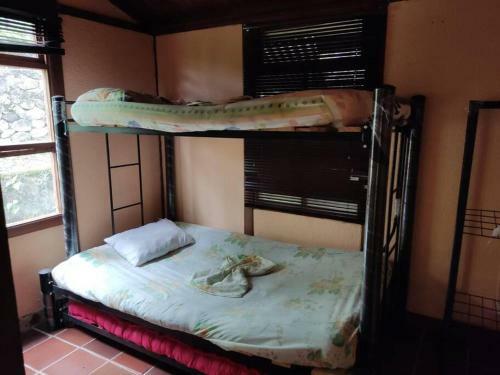 Las Palmeras Casa En Melgar
