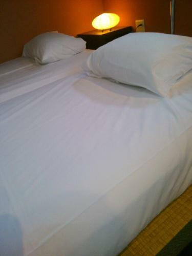 Albergue Guest House Ochakare