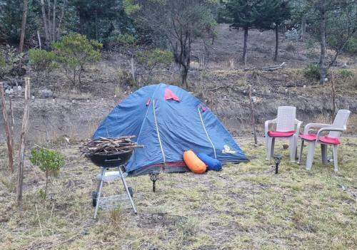 Zonas Camping Naturalove