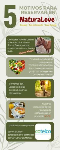 Zonas Camping Naturalove