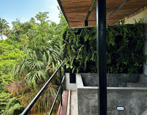 Casa Xue Tayrona - Alma Hotels