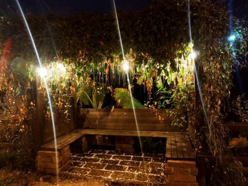 Apartamento San Jos� De Las Bromelias