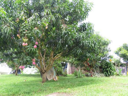 Finca Villa Elena De Los Lagos