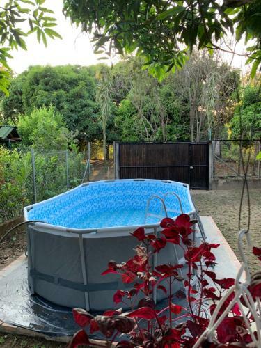 Hostal Casa Jocolate Minca