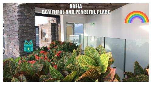 Apartamento Areia The Architectonic Concept