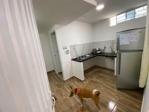 Habitaciones Y Aptos Isabella