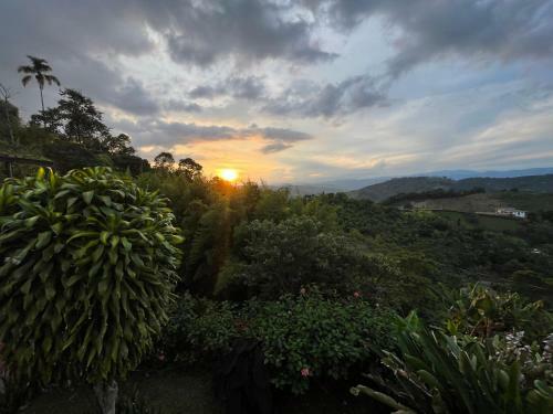 Lodge Caba�a Tierra Verde Eje Cafetero
