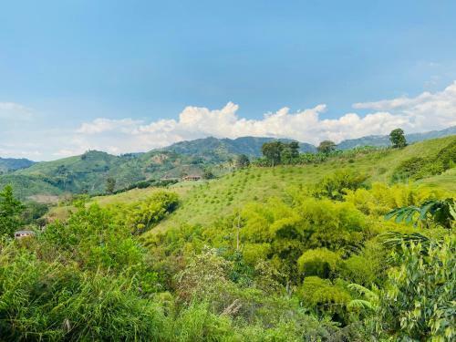 Lodge Caba�a Tierra Verde Eje Cafetero