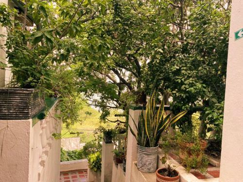 Apartamento Cabin With Balcony And Ocean View.