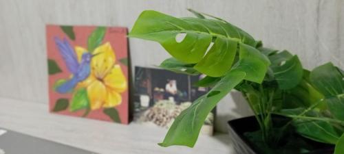 Apartamento Centro Hist�rico Casa Xie