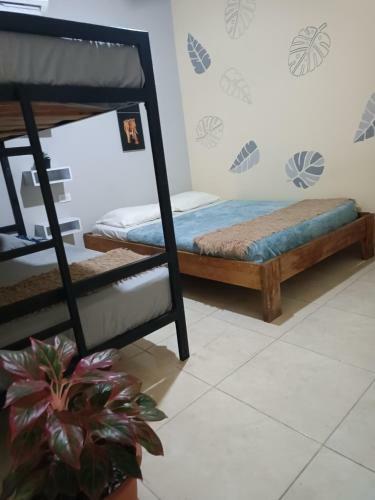 Bed & Breakfast Hotel Bahia Comfort