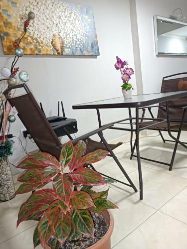 Bed & Breakfast Hotel Bahia Comfort
