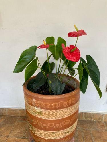 Villa Casa De Verano En La Vega