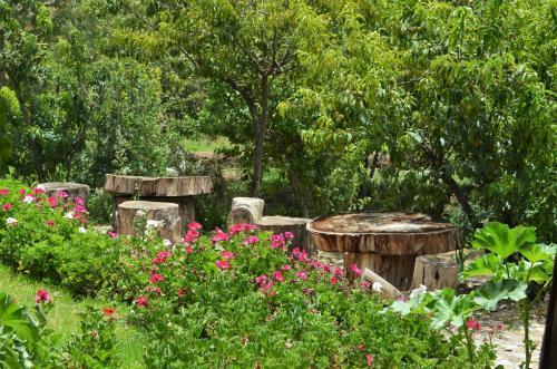 Hotel Hacienda Santa Mar�a