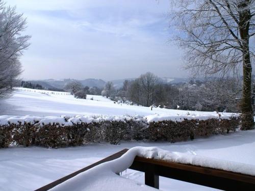 Holiday Home Le Grand Chalet Xhoffraix