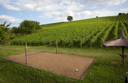Stupni?ki Dvori Winery Hotel