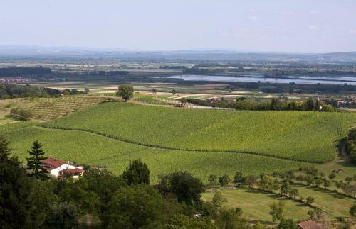 Stupni?ki Dvori Winery Hotel