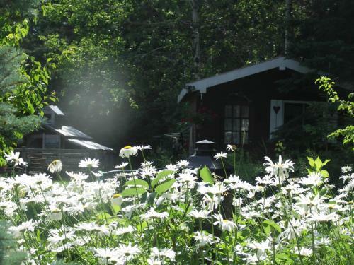 Bed & Breakfast Vieille �cole Du Rang 3
