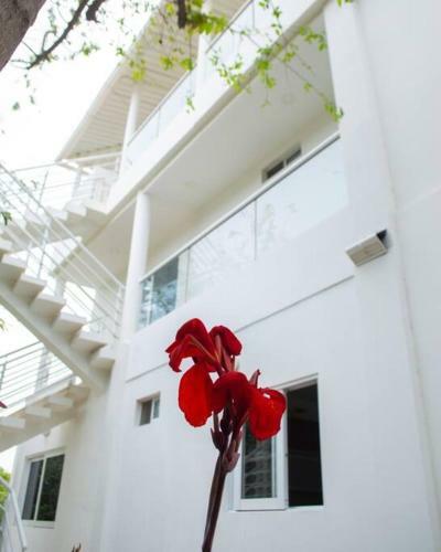 Apartamento Hermoso Penthouse Cerca A La Playa