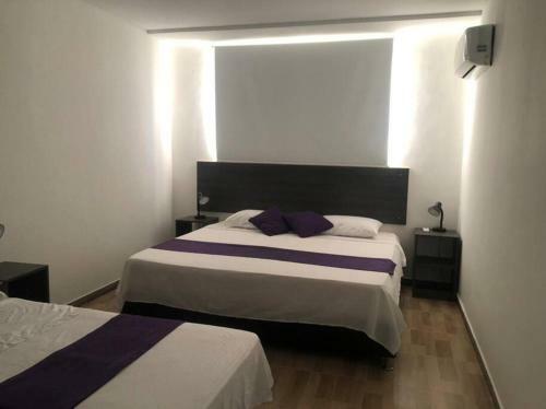 Apartasuite 10-72. 3