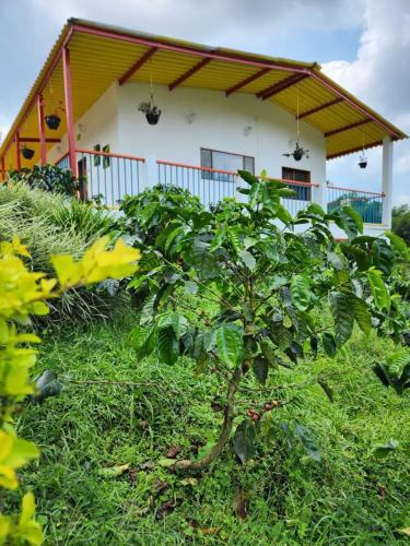 Hotel Cafetero Valpara�so