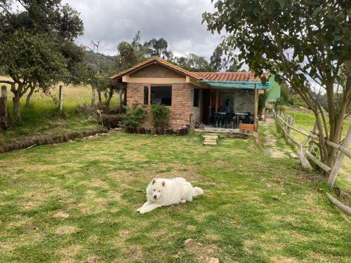 Rancho New Life Guatavita