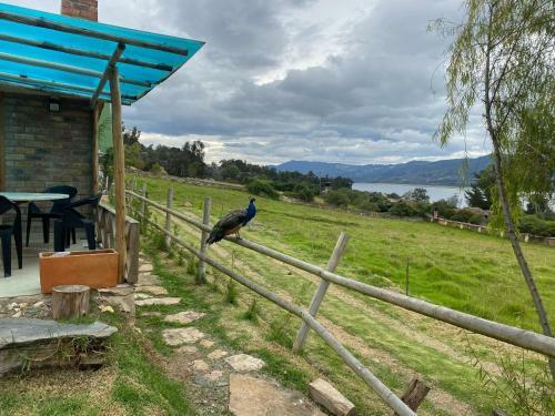 Rancho New Life Guatavita