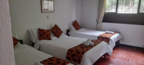 Hotel Maxiruma - Villa Tamauka