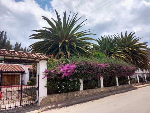 Hotel Maxiruma - Villa Tamauka