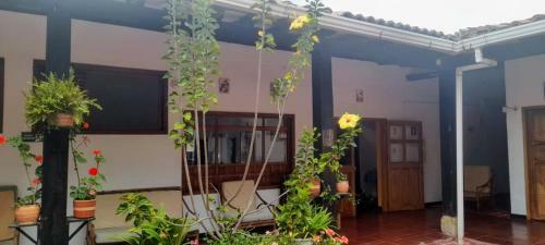 Hotel Maxiruma - Villa Tamauka