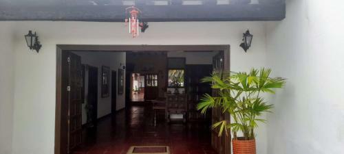 Hotel Maxiruma - Villa Tamauka