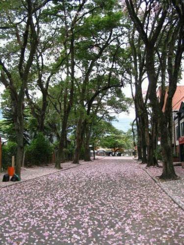 Hotel Vivienda Tur�stica Arboleda De C�diz