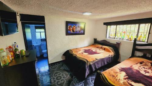 Hospedaje Campestre Los Pinos