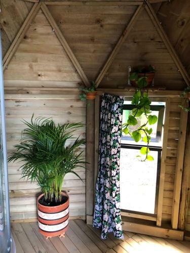 Unique Glamping / Domo Betsaida