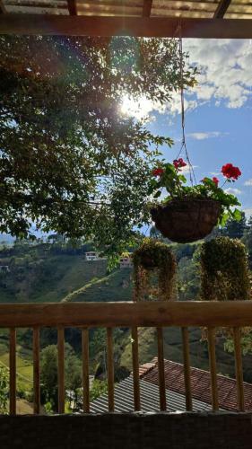 Unique Glamping / Domo Betsaida