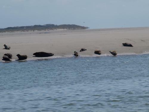 Caravaning Les Tourterelles