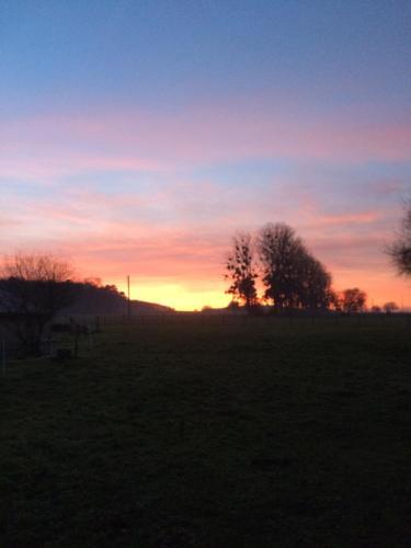 Bed & Breakfast Au Parc Aux Li�vres