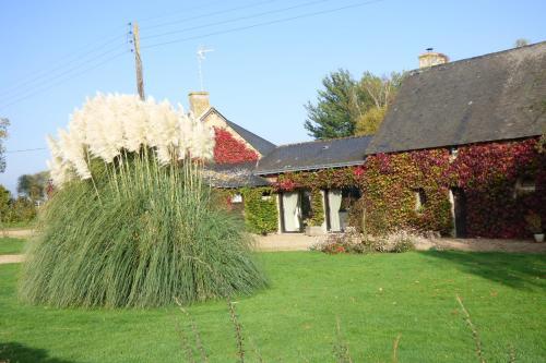 Bed & Breakfast Au Parc Aux Li�vres