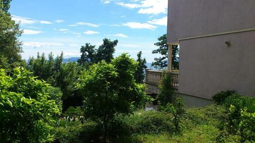 Apartments Green Garden