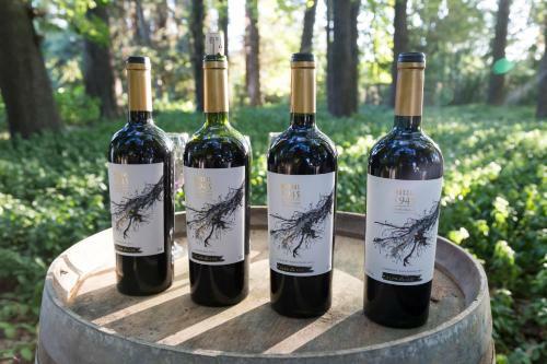 Hotel Boutique Almahue