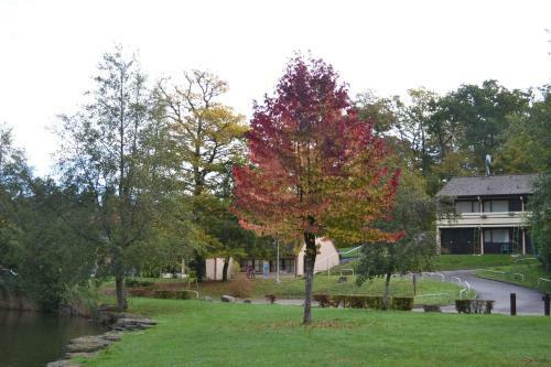 Hotel Restaurant Des Lacs