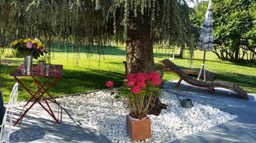 Bed & Breakfast Maison Prairie Bonheur