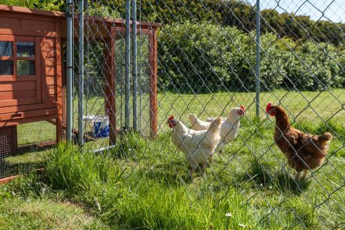 Kilmore Cottages Self - Catering