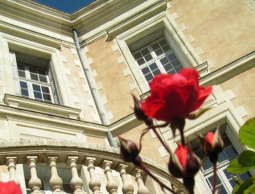 Bed & Breakfast Ch�teau De La Haye