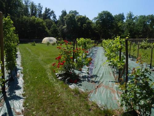 Bed & Breakfast Ch�teau De La Haye