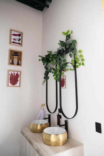 Apartamento Royal Living