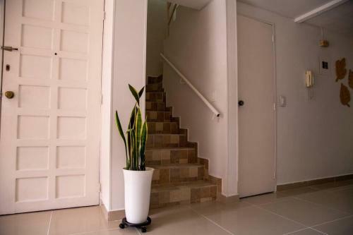 Apartamento Estad�as Marisol